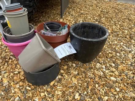 Photo of free Plant pota (RG4) #1