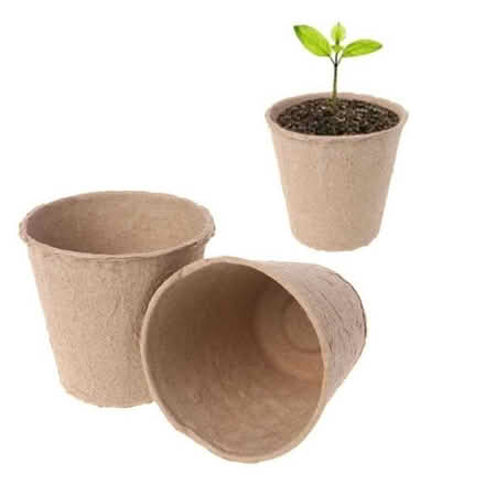 Photo of Paper plant pots (EH3 Tollcross) #1