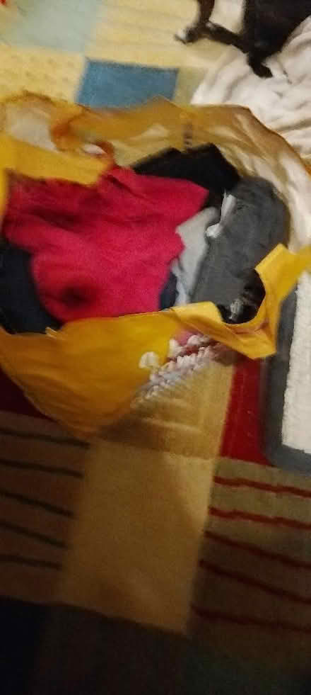 Photo of free Size 16/18 ladies (St Leonards TN38) #1