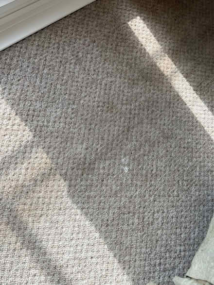 Photo of free Beige carpet and underlay (Langney BN23) #3
