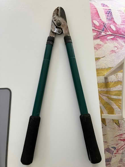 Photo of free Loppers (Kings Hill ME19) #3