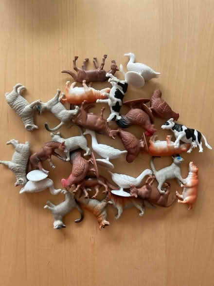 Photo of free Children’s farm rug with animals (Hertford) #2