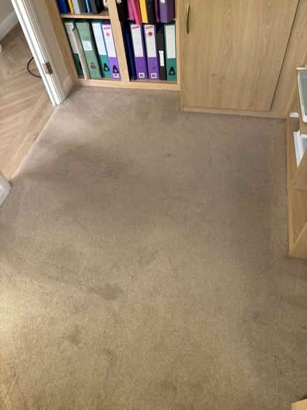 Photo of free Carpet (Milton PO4) #1