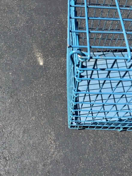 Photo of free Med dog crate needs tlc (Lansdale) #2