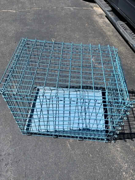 Photo of free Med dog crate needs tlc (Lansdale) #1