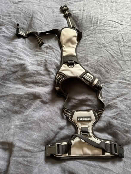 Photo of free Large dog harness (Batford AL5) #1