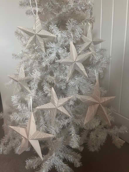 Photo of free 5ft white Christmas Tree (Carlton NG4) #1