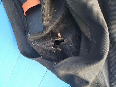 Photo of free Garden Vac - Leaf Blower (Stony Stratford MK11) #1