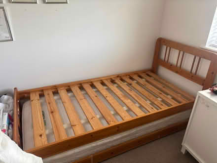 Photo of free Trundle (Fobbing SS17) #1