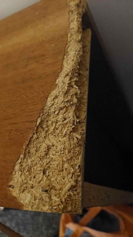 Photo of free Vertical bookcase (Salford M6) #3