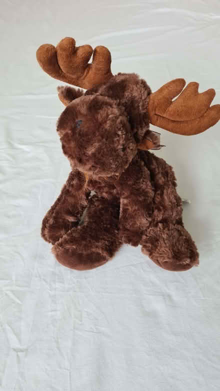 Photo of free Stuffed toy moose (Liberton EH16) #1