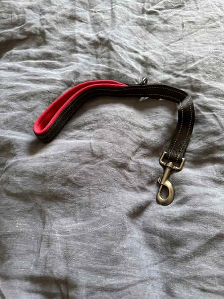 Photo of free Short dog lead (Batford AL5) #1