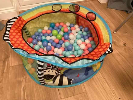 Photo of free Ball pit (Eltham SE9) #1