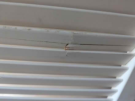 Photo of free Wooden louvre doors unused (Totnes) #2