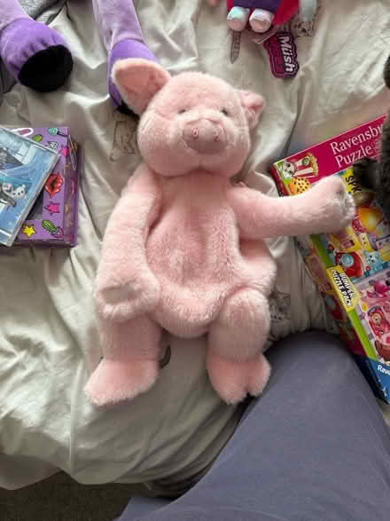 Photo of free Pig backpack (Coley RG30) #1
