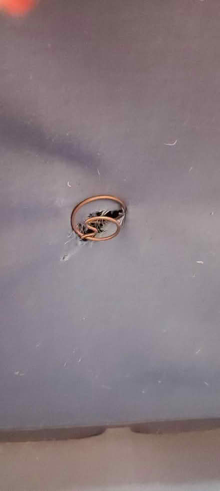 Photo of free Single bed base Ottoman/storage (The Folly BN7) #3