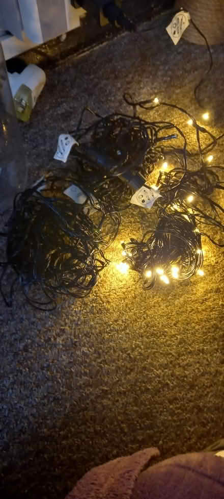 Photo of free Christmas Tree Lights (Kettering) #2