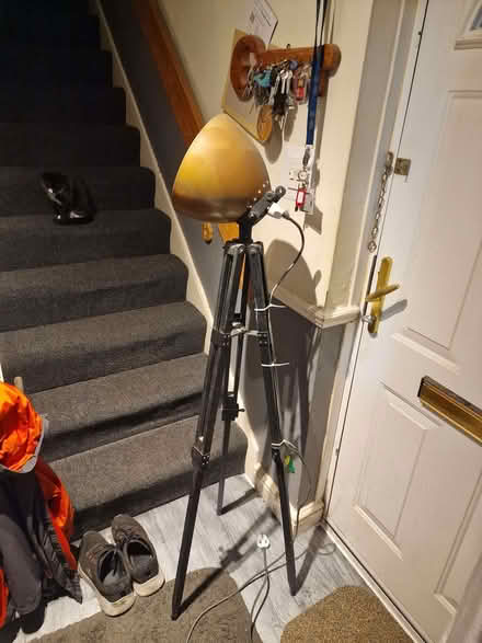 Photo of free Standard adjustable lamp (Larkhall) #1