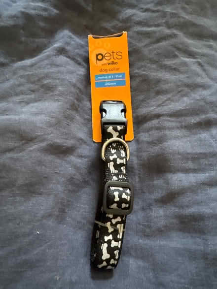 Photo of free Medium dog collar (Batford AL5) #1