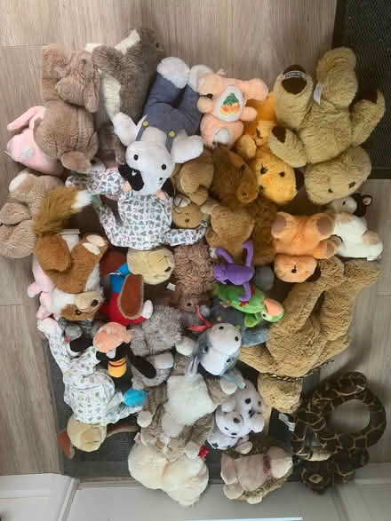 Photo of free Large quantity of soft toys (Nailsworth GL6) #1