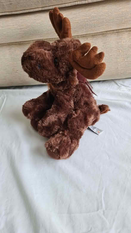 Photo of free Stuffed toy moose (Liberton EH16) #4