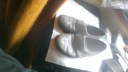 Photo of free Grey Shoes (Halstead CO9) #1