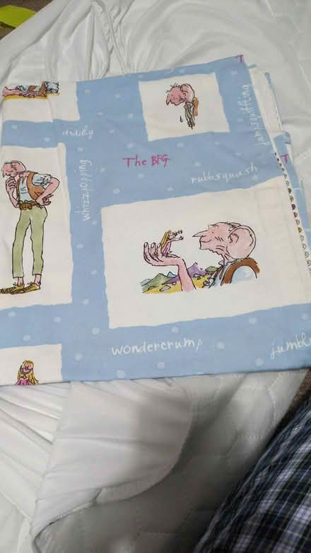 Photo of free Quentn Blake Roald Dahl tablecloth (OX14 Abingdon) #1