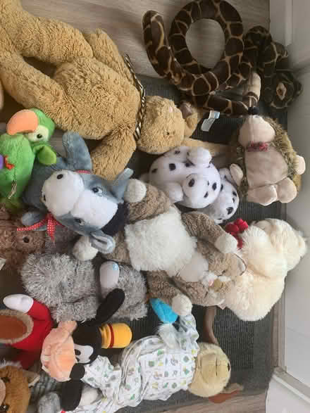 Photo of free Large quantity of soft toys (Nailsworth GL6) #3