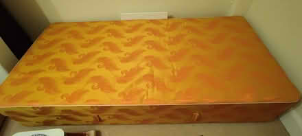 Photo of free Single bed base ottoman storage (The Folly BN7) #1