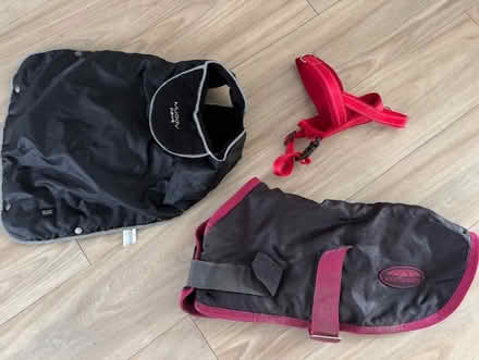 Photo of free Dog Coats - Medium (TW16) #1