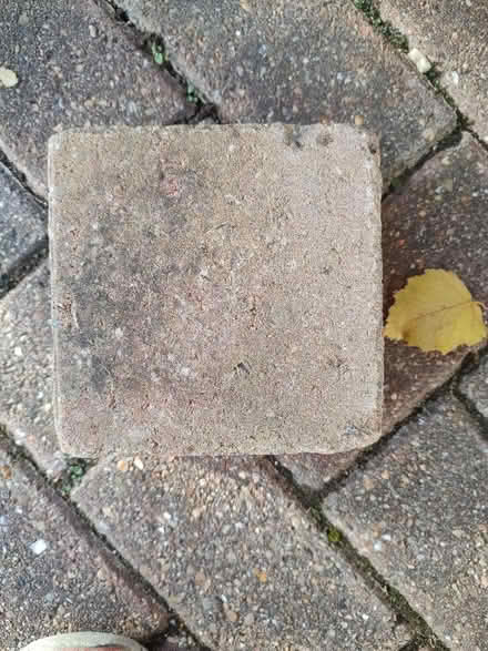 Photo of free 62 Paving Bricks (Sidley TN40) #3