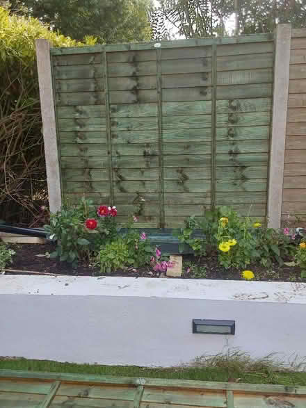 Photo of free Wooden fence panels (Mottingham SE9) #1