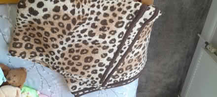 Photo of free Blanket (North Hinksey OX2) #1