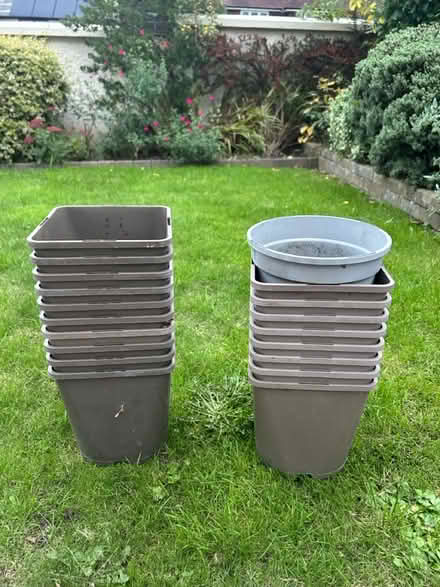 Photo of free Bundle of plastic plant pots (Guildford GU1) #1