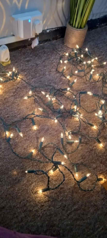 Photo of free Christmas Tree Lights (Kettering) #1