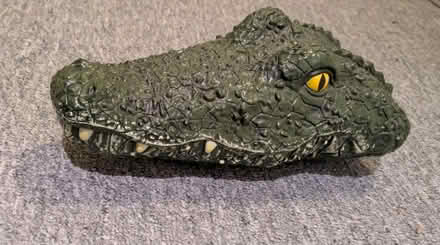 Photo of free Toy crocodile head (North Abingdon OX14) #1