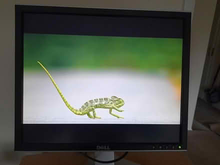 Photo of free Dell computer monitor (GU7 3AW) #4