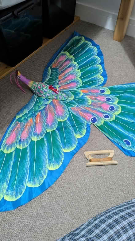 Photo of free Fancy kite (OX14 Abingdon) #1