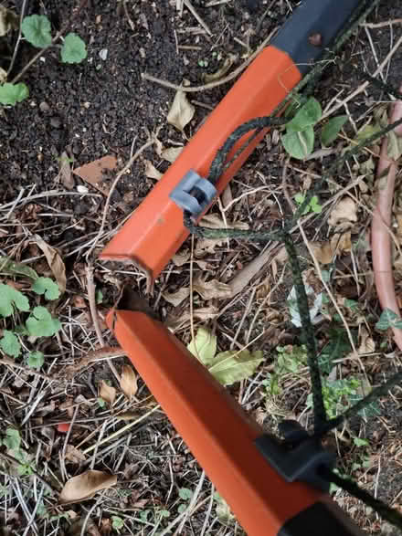 Photo of free Football goal (Abingdon OX14) #3