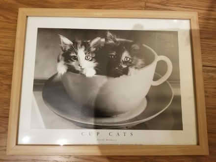Photo of free Framed cat picture (Adel LS16) #1
