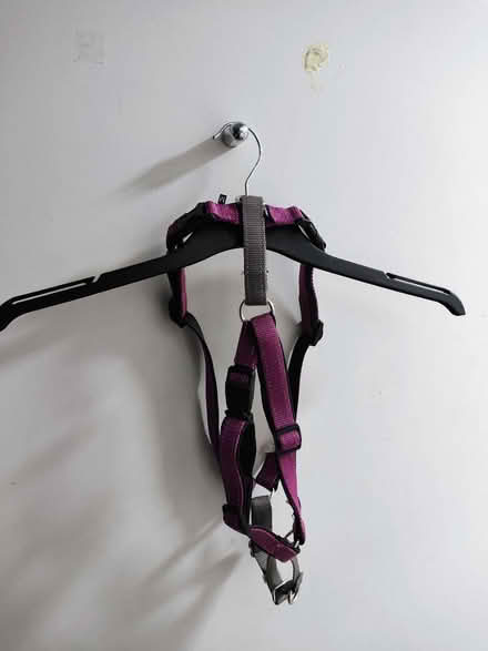 Photo of free Pet Safe 3 in 1 Dog Harness (Stratford) #2