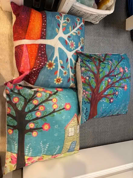 Photo of free Bundle of cushions, bundle of vintage toys for TLC (Gracemount EH16) #1