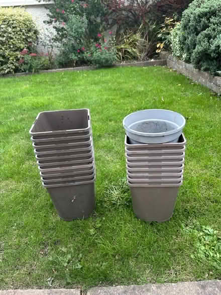 Photo of free Bundle of plastic plant pots (Guildford GU1) #2