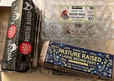 Photo of free Egg cartons (Almaden Valley) #1