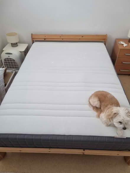 Photo of free Ikea Hovag double mattress (East Molesey KT8) #1