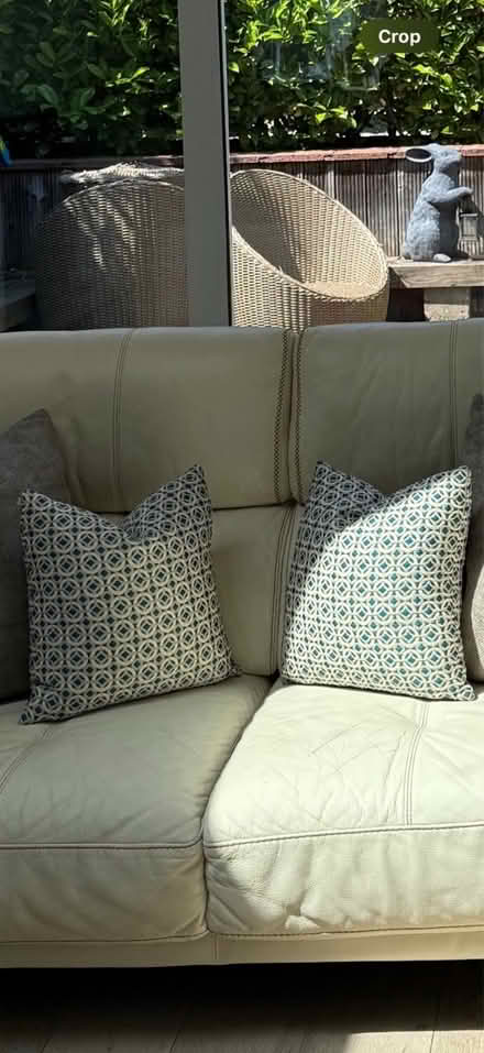 Photo of free 4 medium plump feather cushions (W5) #1