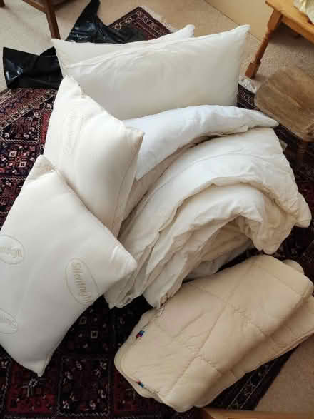 Photo of free Pillows x7, cushionsx2, adult duvet X1 kids duvet x1 (The Folly BN7) #1