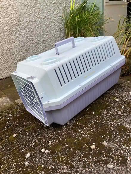 Photo of free Pet carrier (GL6 Minchinhampton) #2