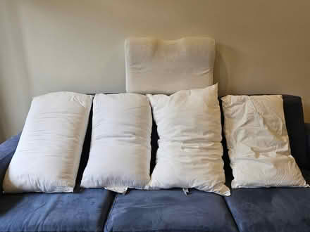 Photo of free Pillows (Mount Waverley) #1