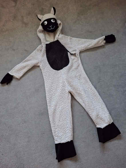 Photo of free Sheep costume (Newall LS21) #1